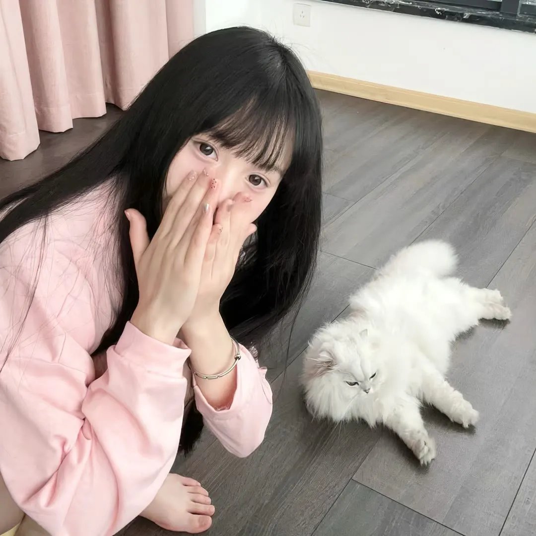 花儿与少年·好友记